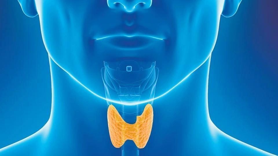 Thyroid health